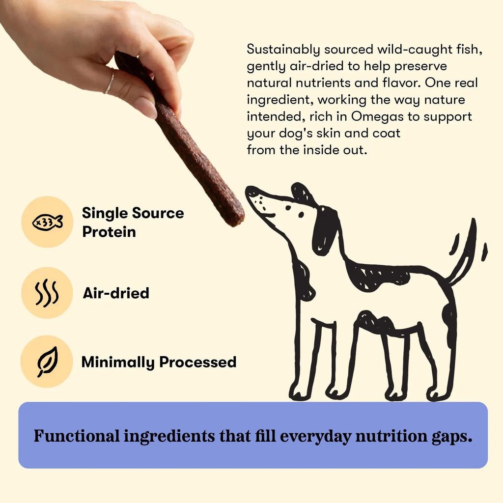 Plato Pet Treats Thinkers Salmon - Meat Stick Treats for Dogs - Limited Ingredient Dog Treats with EPA and DHA to Support Skin, Coat, and Brain - Air-Dried Dog Treats