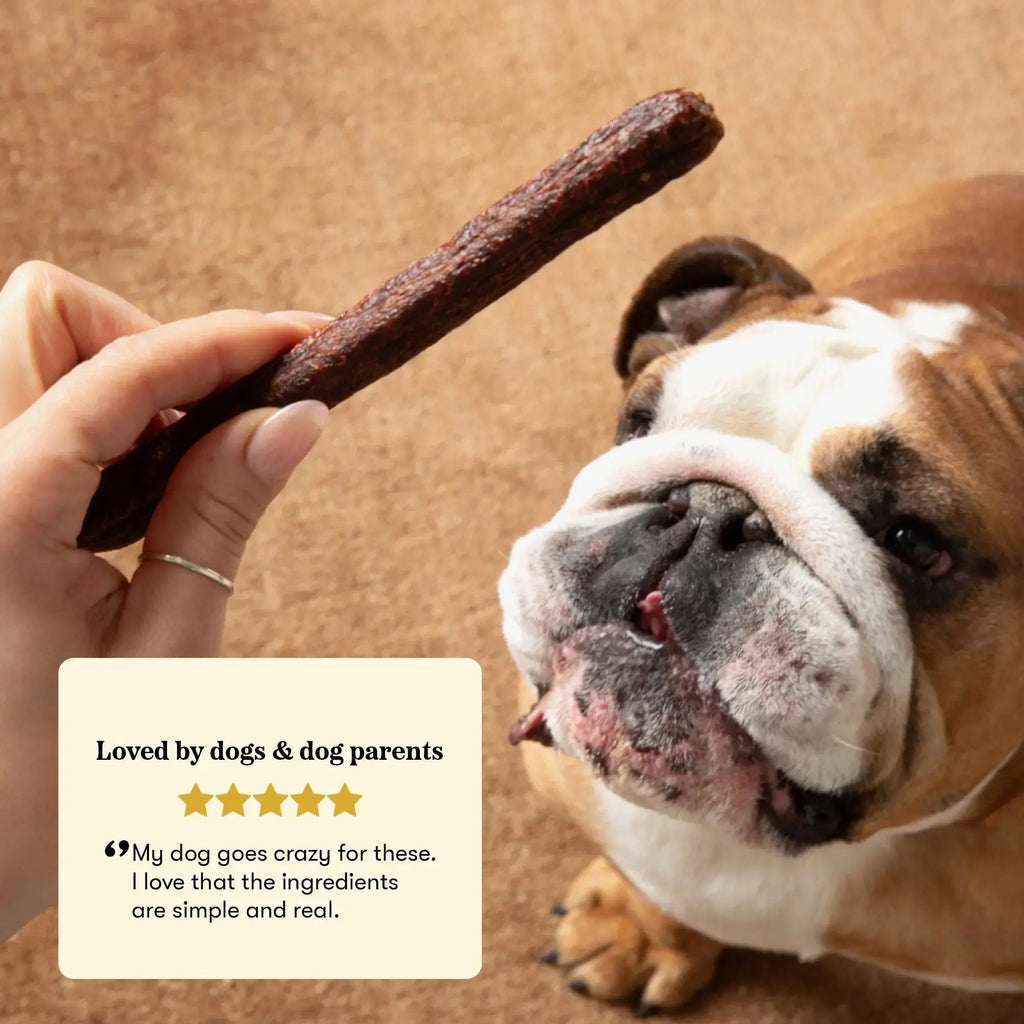 Plato Pet Treats Thinkers Salmon - Meat Stick Treats for Dogs - Limited Ingredient Dog Treats with EPA and DHA to Support Skin, Coat, and Brain - Air-Dried Dog Treats