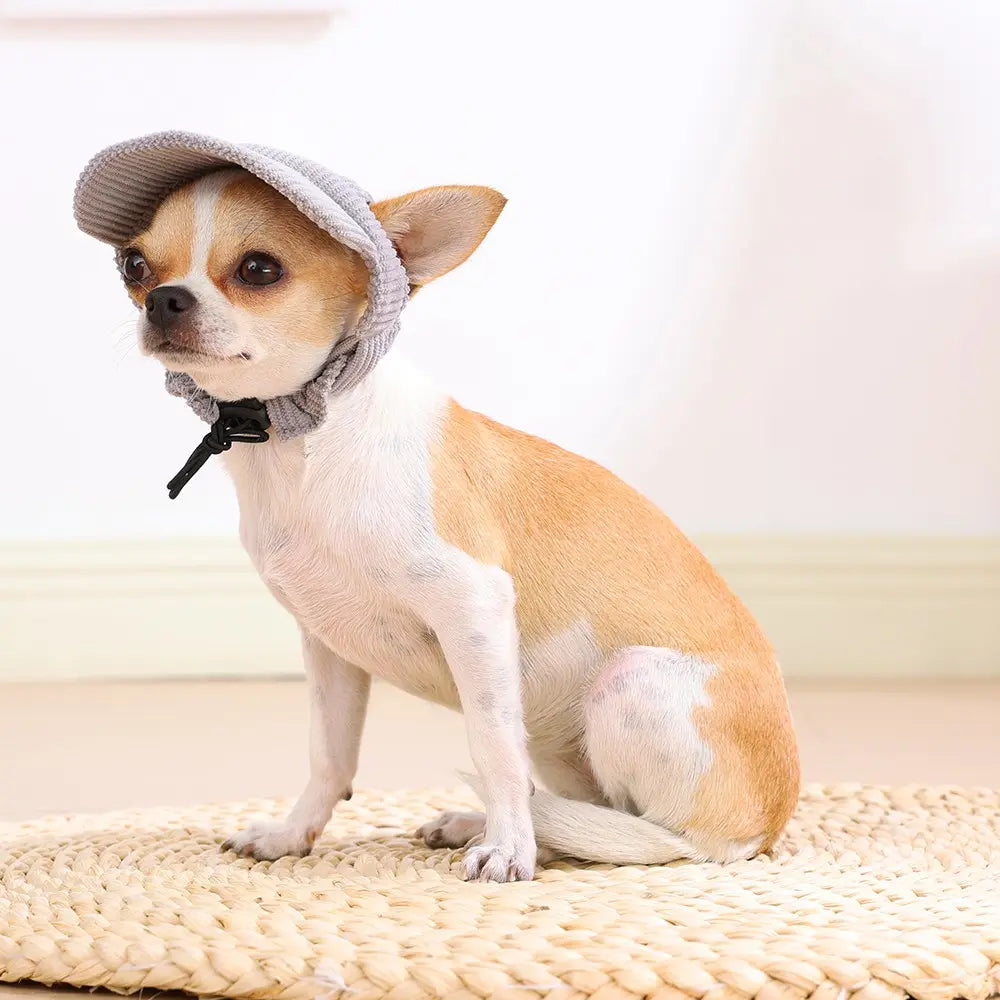 Pet Baseball Cap Hat for Dogs, Puppy and Cats, Adjustable Drawstring, Ear-Exposed Design, Outdoor Sun Protection, Small Dog Accessory, Multiple Colors Available