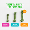 MINTIES Dog Dental Bone Treats, Dental Chews for Small / Medium / Large Dogs