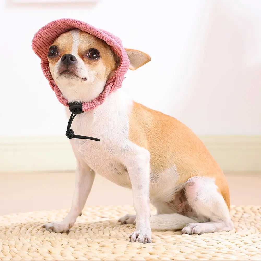 Pet Baseball Cap Hat for Dogs, Puppy and Cats, Adjustable Drawstring, Ear-Exposed Design, Outdoor Sun Protection, Small Dog Accessory, Multiple Colors Available