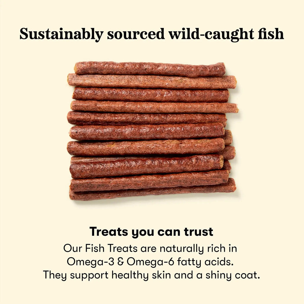 Plato Pet Treats Thinkers Salmon - Meat Stick Treats for Dogs - Limited Ingredient Dog Treats with EPA and DHA to Support Skin, Coat, and Brain - Air-Dried Dog Treats