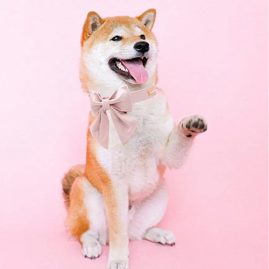 Unique Style Paws Silk Pink Dog Collar with Bow – Adjustable Durable Wedding Bowtie Collar for Small to Large Dogs